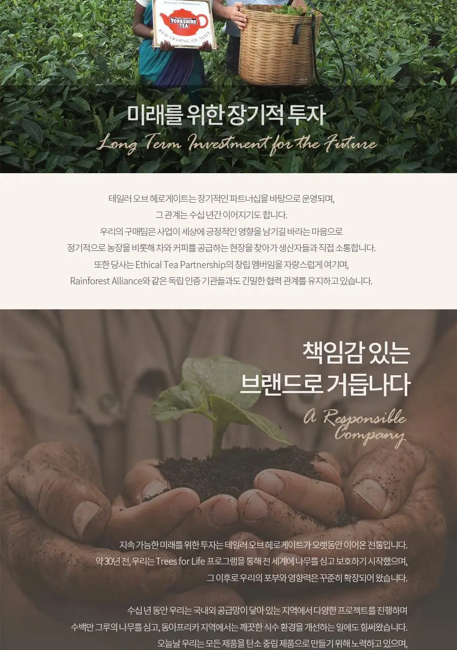 테일러스오브헤로게이트 허브차 티백 2g 20개입 레몬 앤 진저 상세페이지 8
