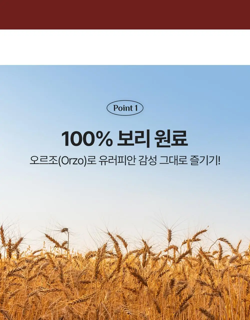 티젠 카페 오르조 40ST 상세페이지 7