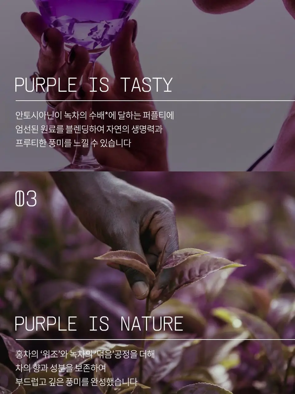 티퍼런스 민트 리프레쉬 퍼플티 1개입 상세페이지 8