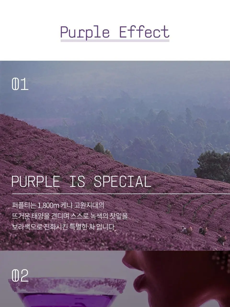 티퍼런스 오트 펌킨 피트니스 퍼플티 1개입 상세페이지 7