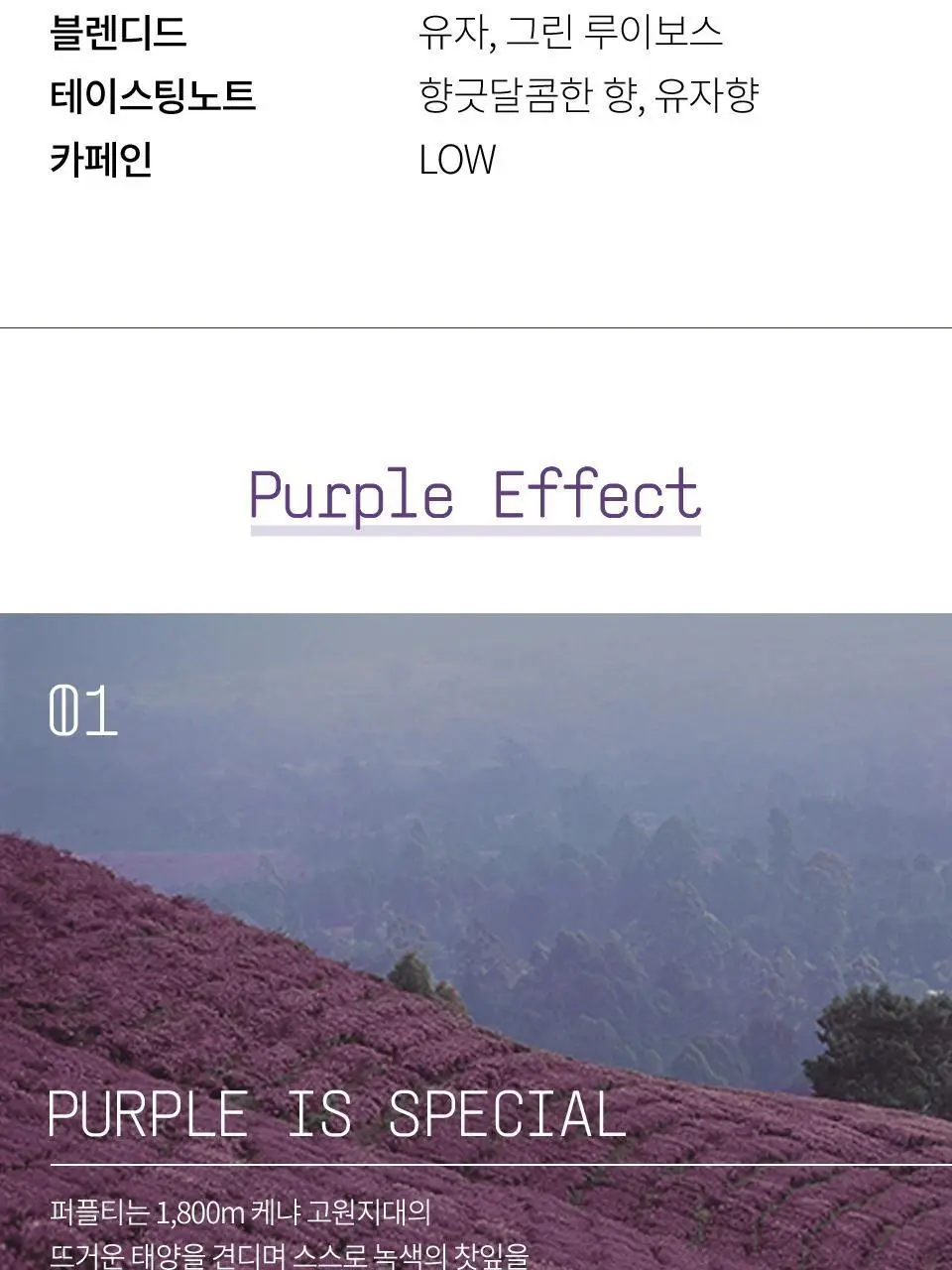 티퍼런스 유자 릴렉스 퍼플티 5개입 상세페이지 7