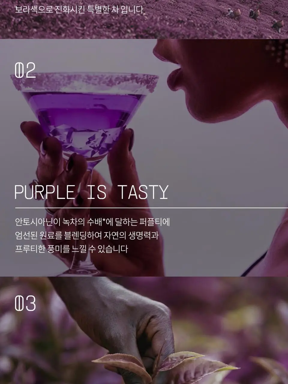티퍼런스 유자 릴렉스 퍼플티 5개입 상세페이지 8