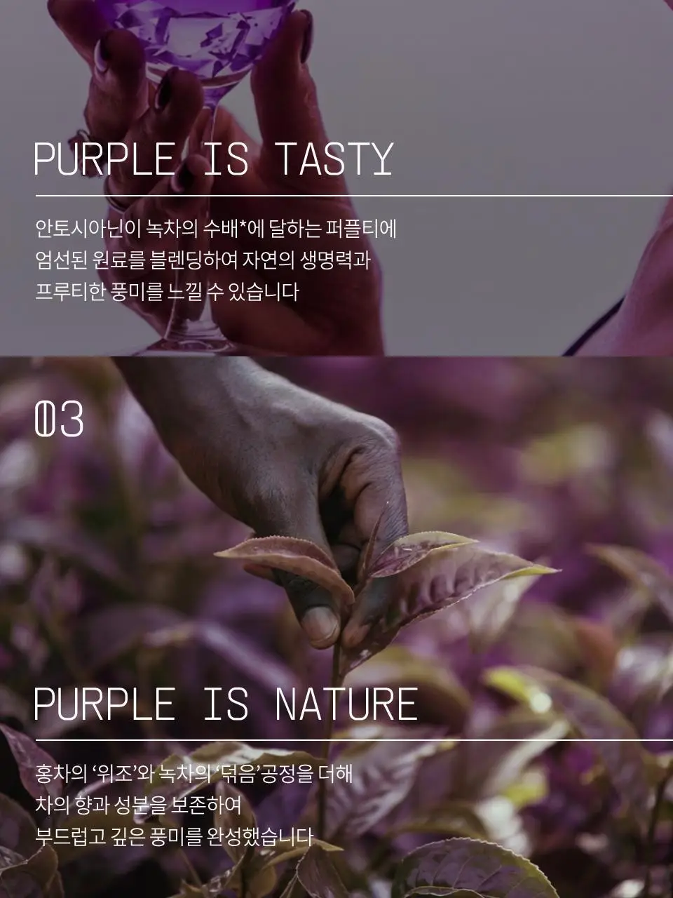 티퍼런스 유자 퍼플티 15개입 상세페이지 9