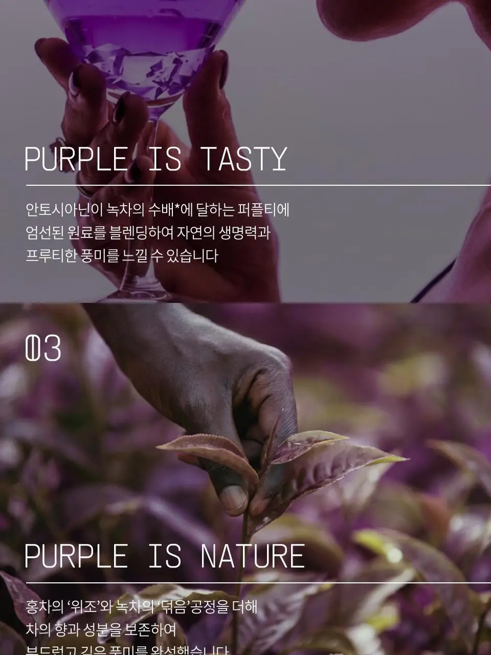 티퍼런스 퍼플 블렌딩 텀블러 기프트 컬렉션 20개입 선물세트 상세페이지 16