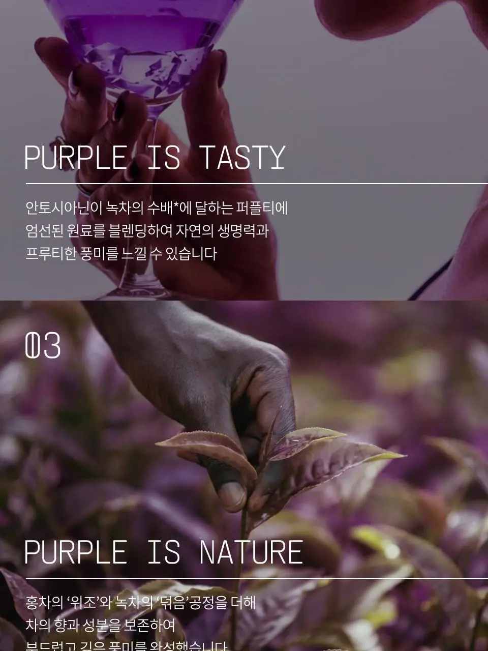 티퍼런스 퍼플티 1개입 6종 (시그니처/ABC/오트 펌킨/베리/민트/유자) 상세페이지 17