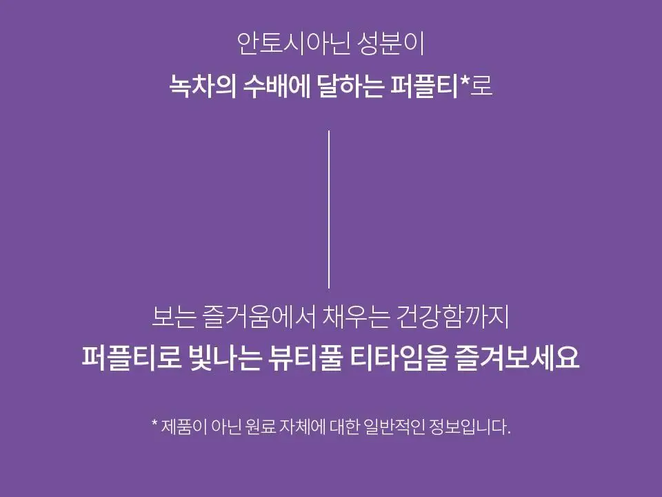 티퍼런스 퍼플티 15개입 6종 (시그니처/ABC/오트 펌킨/베리/민트/유자) 상세페이지 3