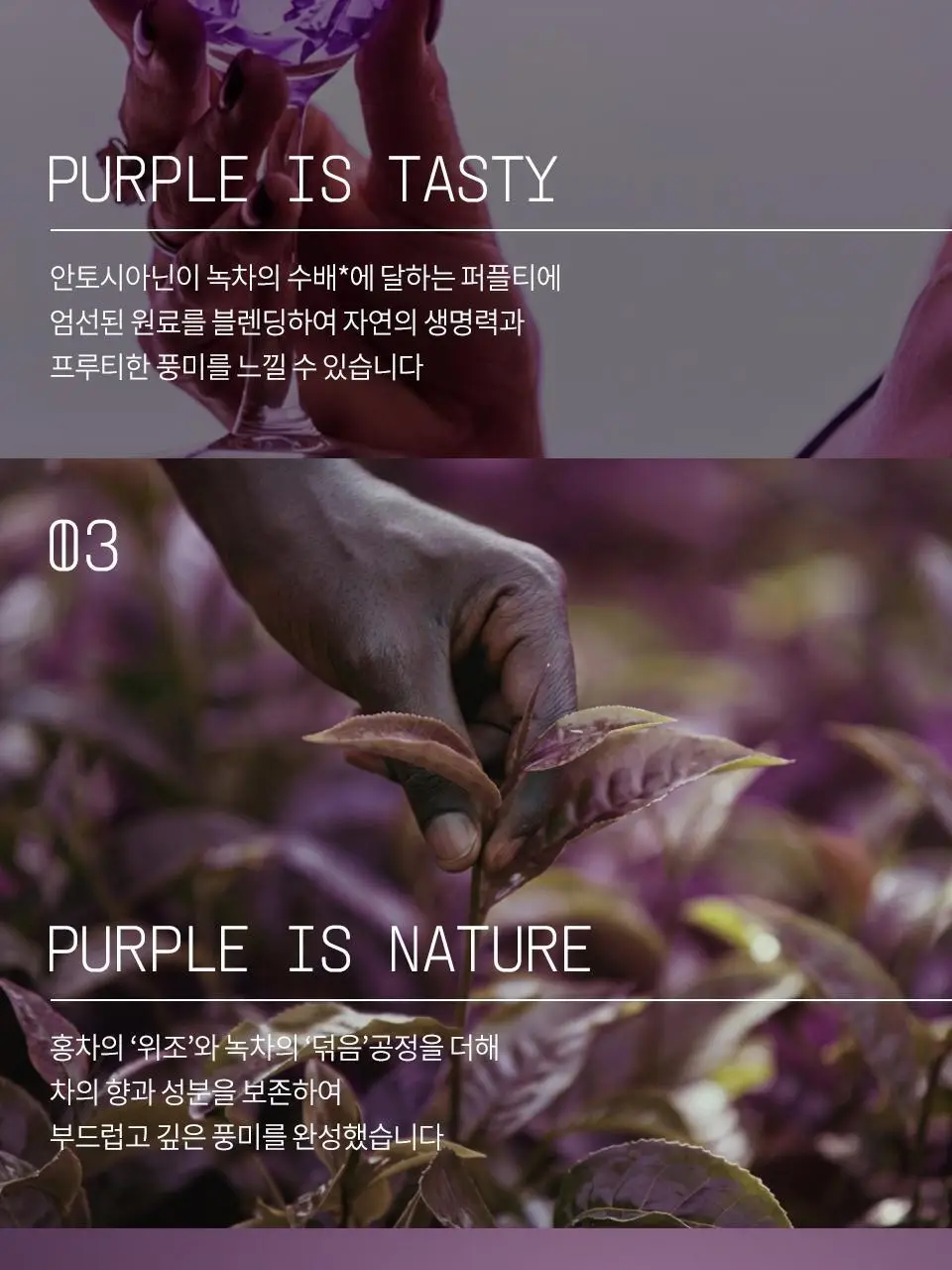 티퍼런스 퍼플티 15개입 6종 (시그니처/ABC/오트 펌킨/베리/민트/유자) 상세페이지 18