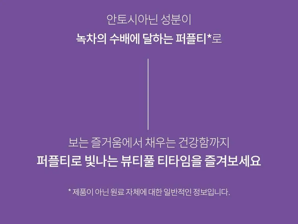 티퍼런스 퍼플티 5개입 6종 (시그니처/ABC/오트 펌킨/베리/민트/유자) 상세페이지 3