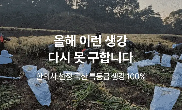 팔팔호랑이 생강청 450g 생기 상세페이지 2