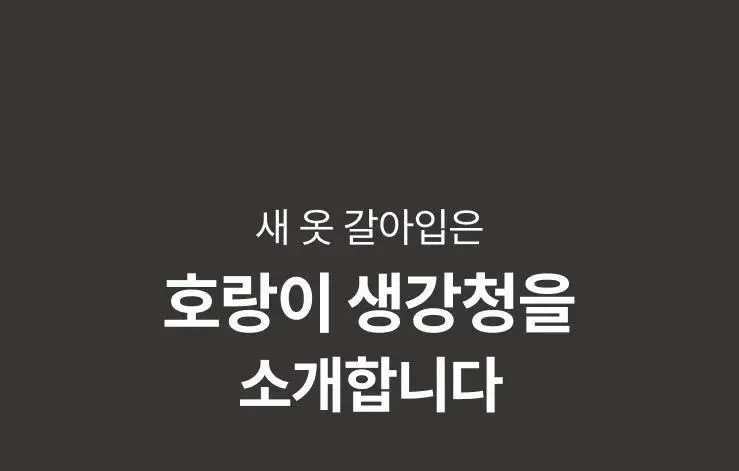 팔팔호랑이 생강청 450g 생기 상세페이지 24