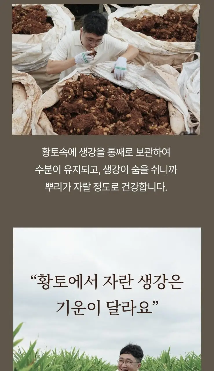 팔팔호랑이 생강청 450g 생기 상세페이지 37