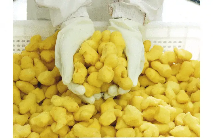 팔팔호랑이 생강청 450g 생기 상세페이지 51