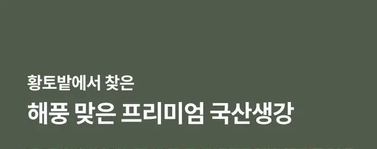 팔팔호랑이 생강청 450g 열기 상세페이지 7
