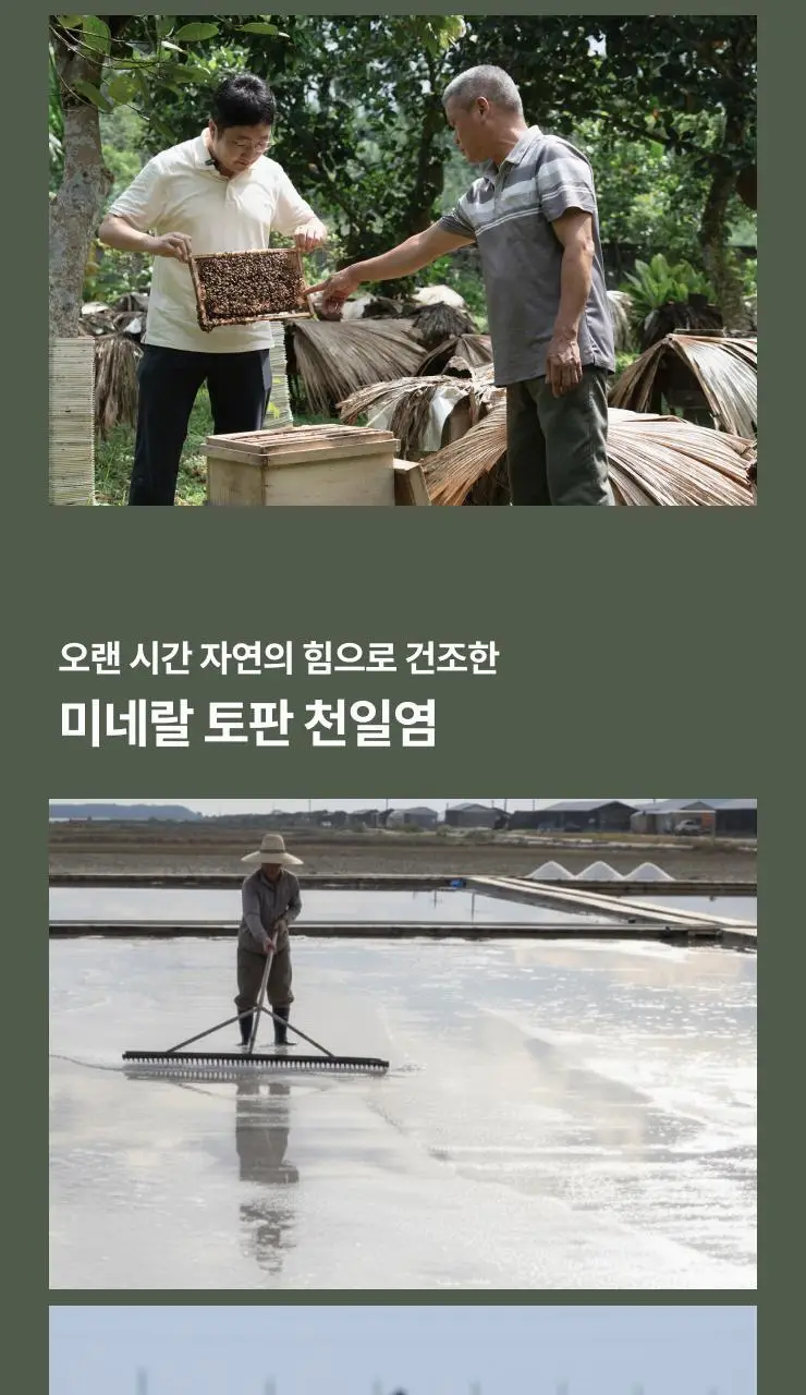 팔팔호랑이 생강청 450g 열기 상세페이지 11