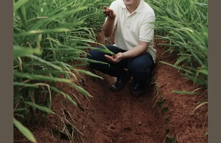 팔팔호랑이 생강청 450g 열기 상세페이지 38