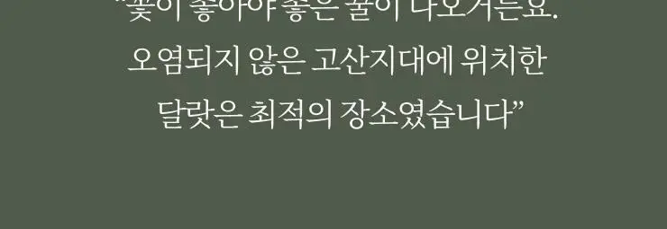 팔팔호랑이 생강청 450g 열기 상세페이지 44