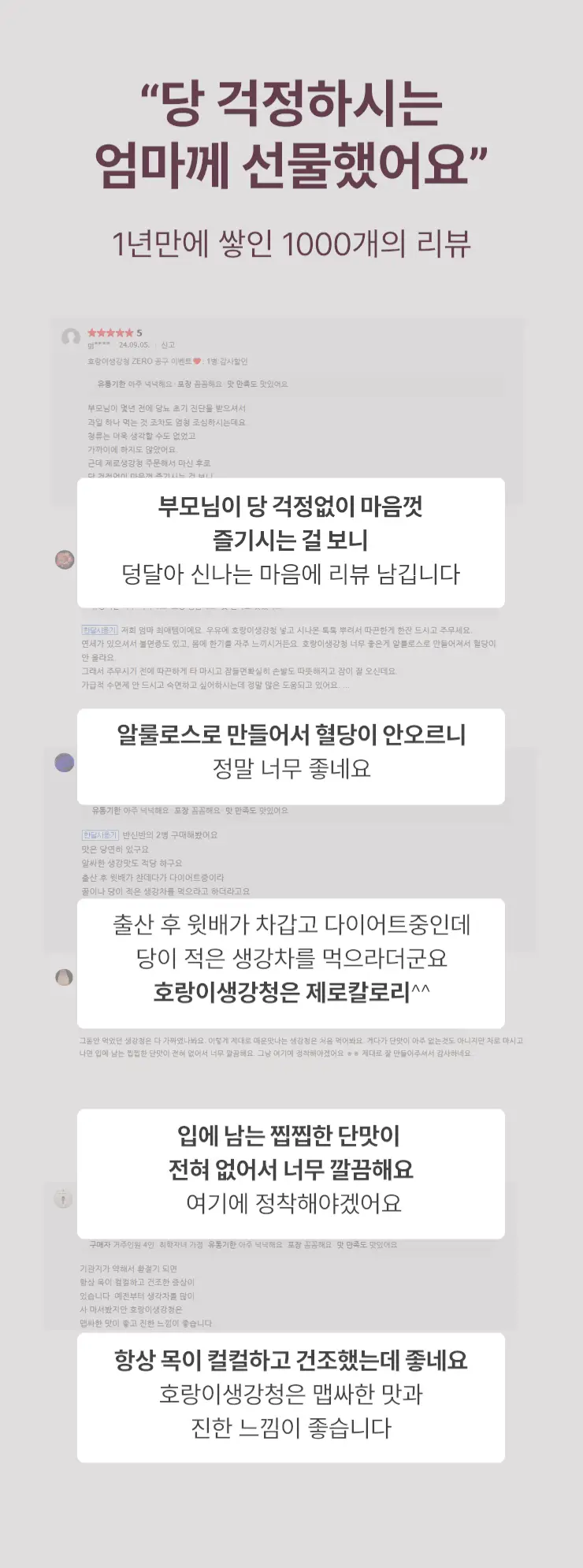 팔팔호랑이 생강청 480g 제로 상세페이지 26