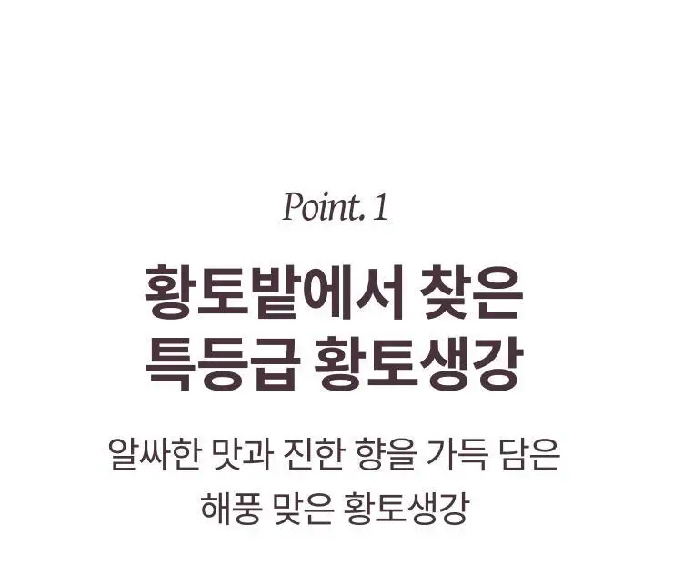 팔팔호랑이 생강청 480g 제로 상세페이지 33