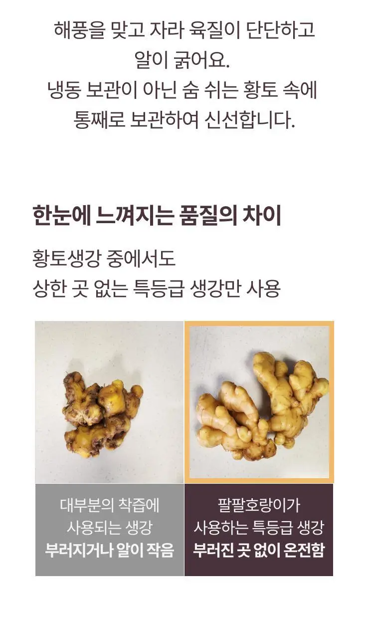 팔팔호랑이 생강청 480g 제로 상세페이지 35
