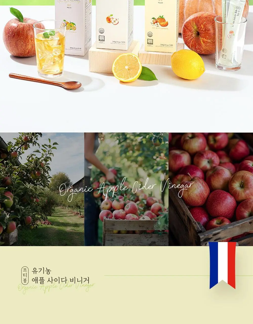 프티봉 애플 사이다 비니거 16g 오리지날 15포 상세페이지 2