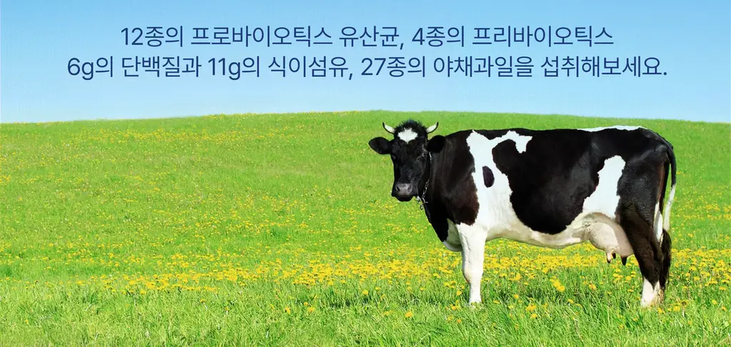 헐그리 요거트씨의 유산균 스무디 350g (10회분) 상세페이지 2