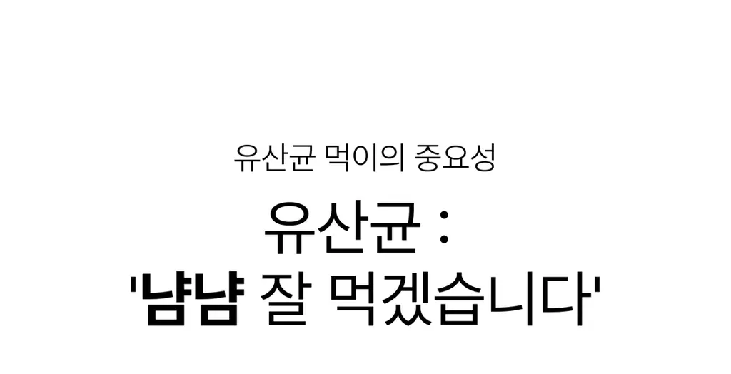 헐그리 요거트씨의 유산균 스무디 40g 상세페이지 17