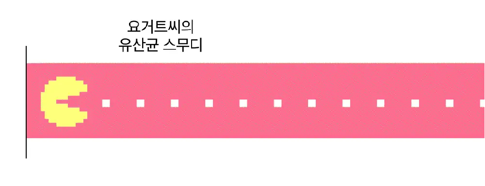 헐그리 요거트씨의 유산균 스무디 40g 상세페이지 18