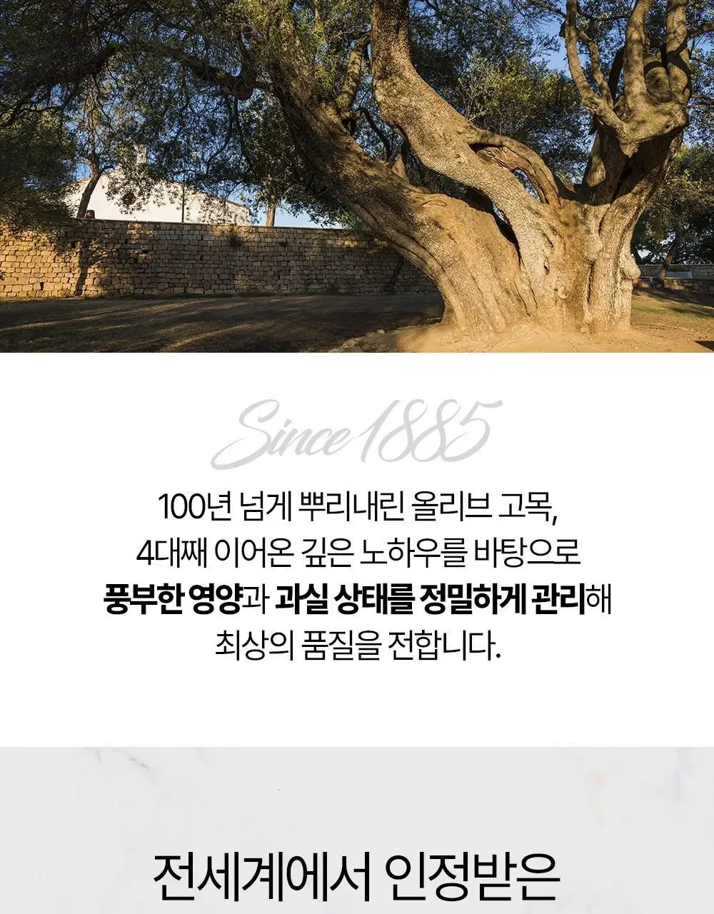 홀베리 유기농 올레샷 구성(레몬즙 25g +올리브유 10ml) 상세페이지 28