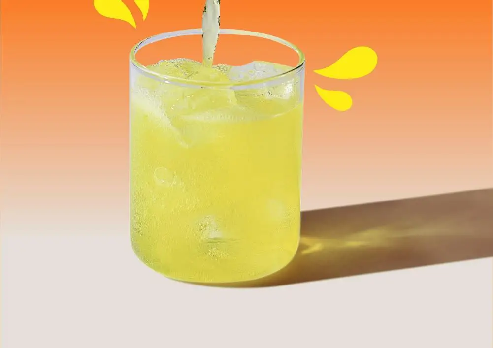 널담 뉴트리션 에너지드링크 355ml 자몽 12개입 상세페이지 32