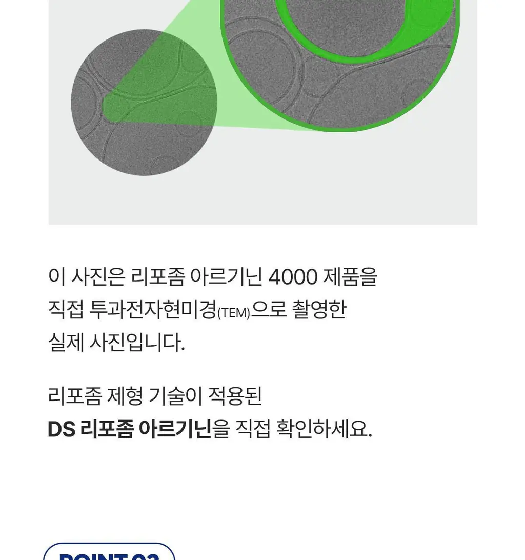 뉴케어 스포식스 리포좀 아르기닌 4000 (40g*10포) /10회분 상세페이지 10