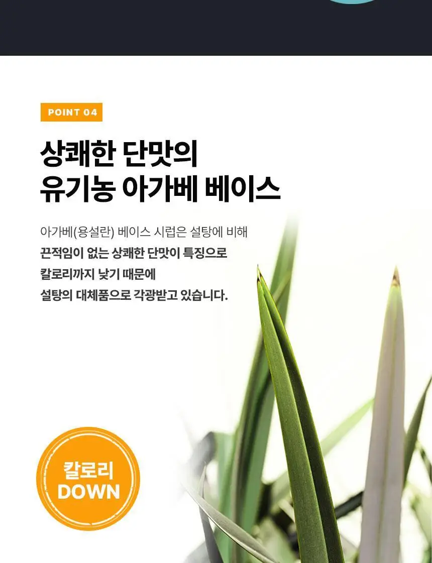 올라 크램프턴 38g 5입 상세페이지 18