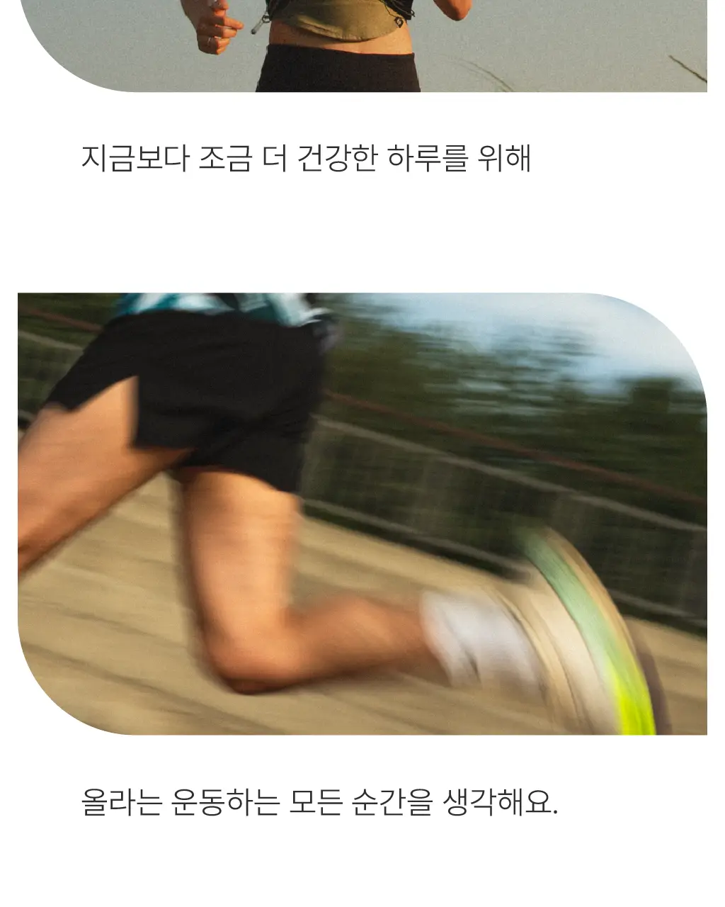 올라 120 팔라티노스 아미노젤 43g 7입 (레몬맛/자몽맛 택1) 상세페이지 50