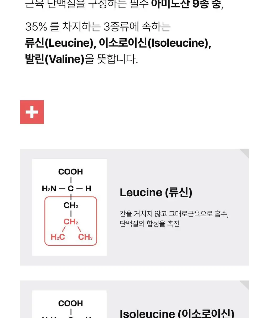 올라 BCAA 9000 300g (레몬맛/자몽맛/그린애플맛/파인애플맛 택 1) 상세페이지 6