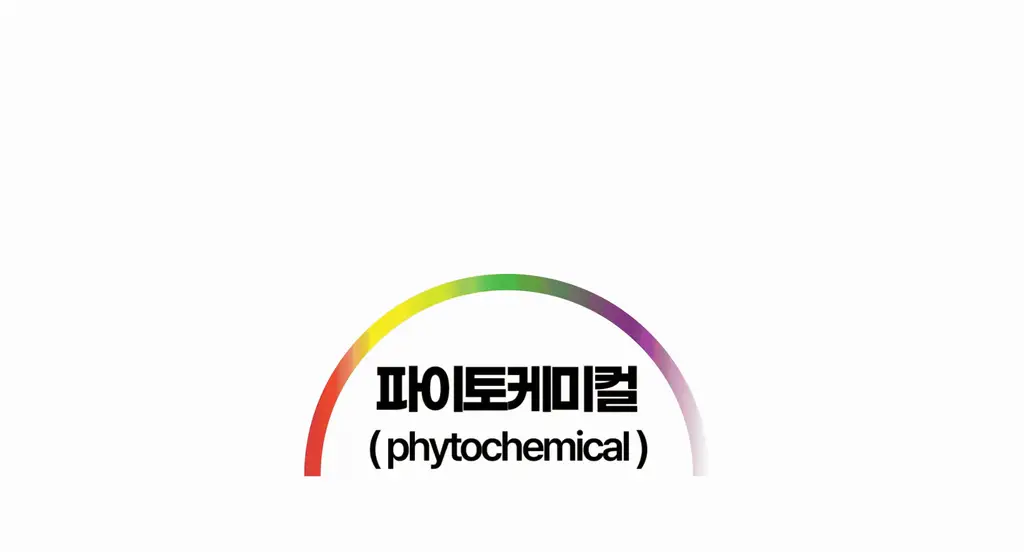 올라잇그린 원통형 프레시베리맛 상세페이지 36
