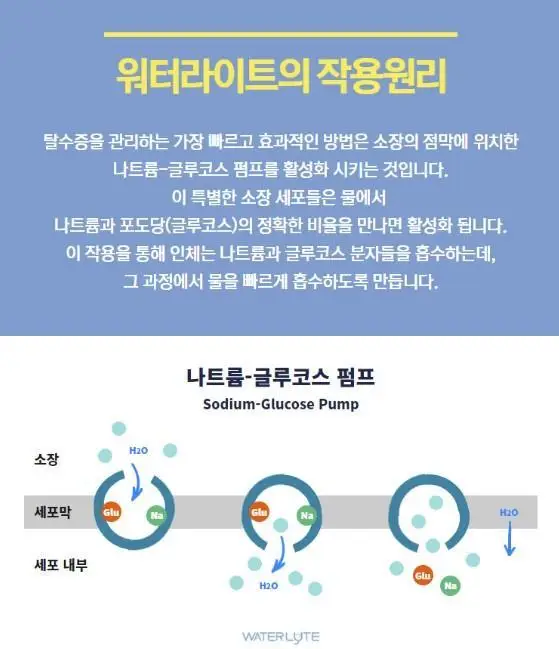 워터라이트 마시는 포도당 마시는 수액 전해질 음료 230ml 12개입(1박스) 상세페이지 4