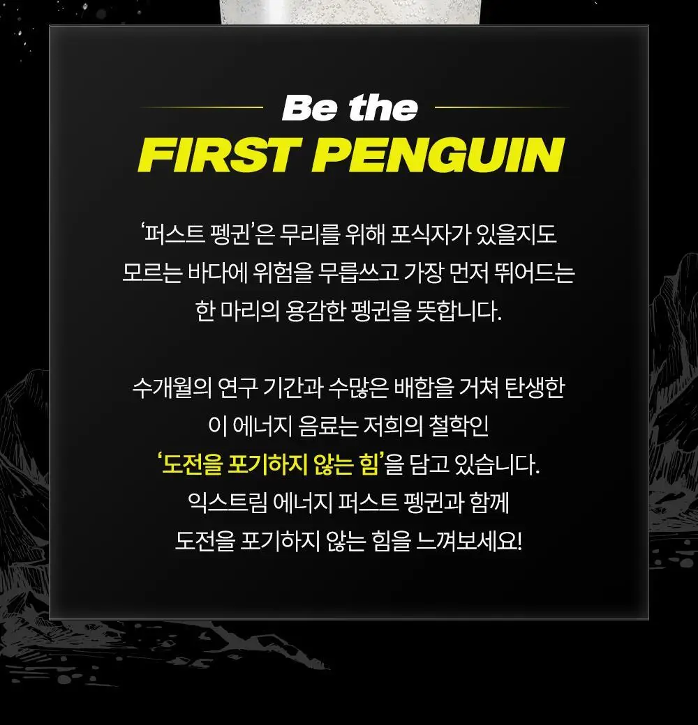익스트림 에너지 퍼스트 펭귄 250ml 24캔 (24일분) 상세페이지 11