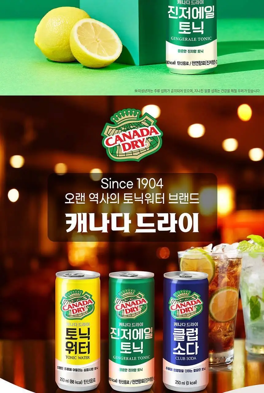 캐나다드라이 진저에일토닉 250ml 30캔 + 하이볼 잔 상세페이지 3