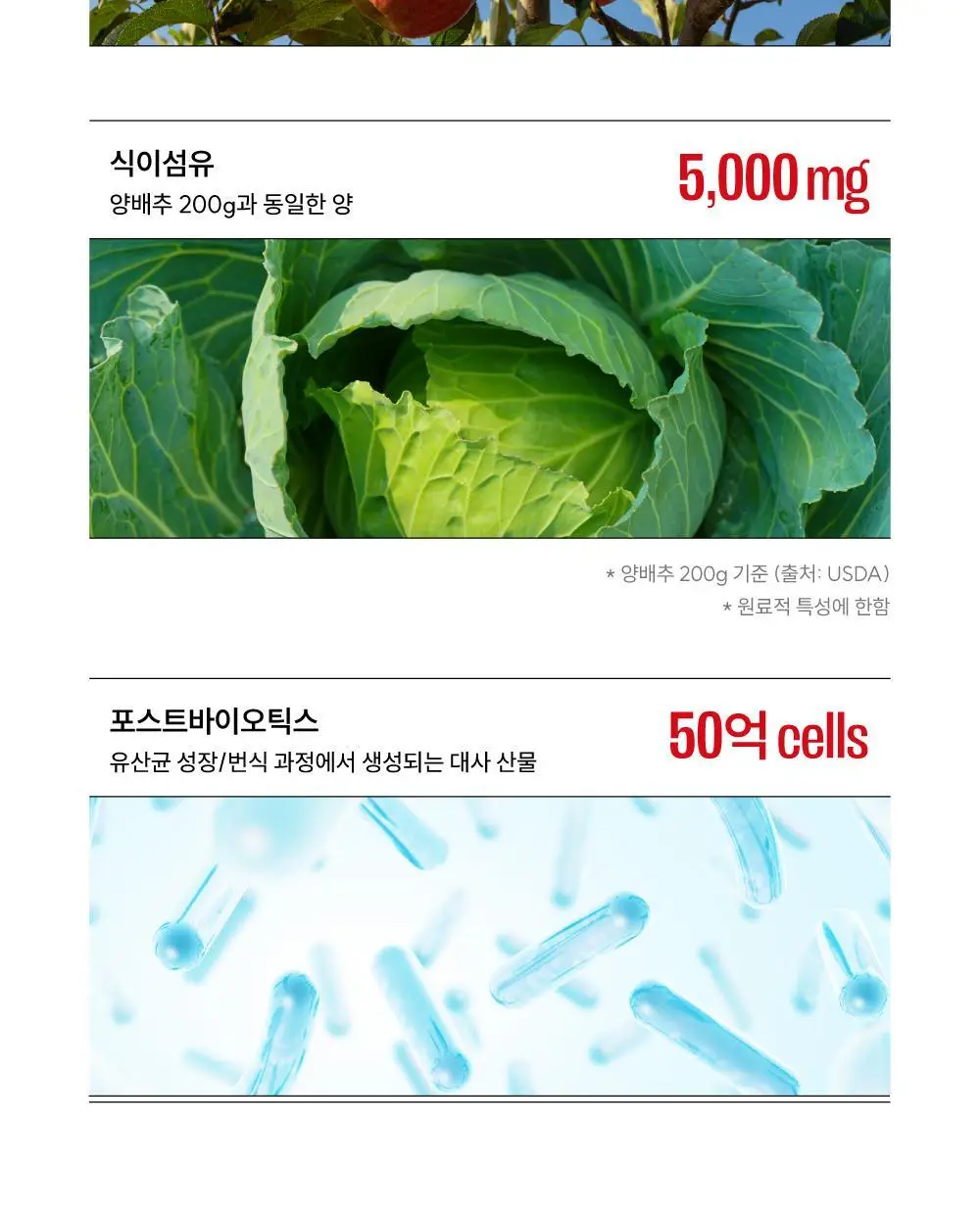 클룹 애사비소다 식이섬유 2종 택1 상세페이지 6