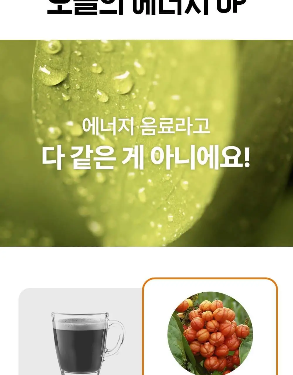 티젠 에너지티 10T 상세페이지 11