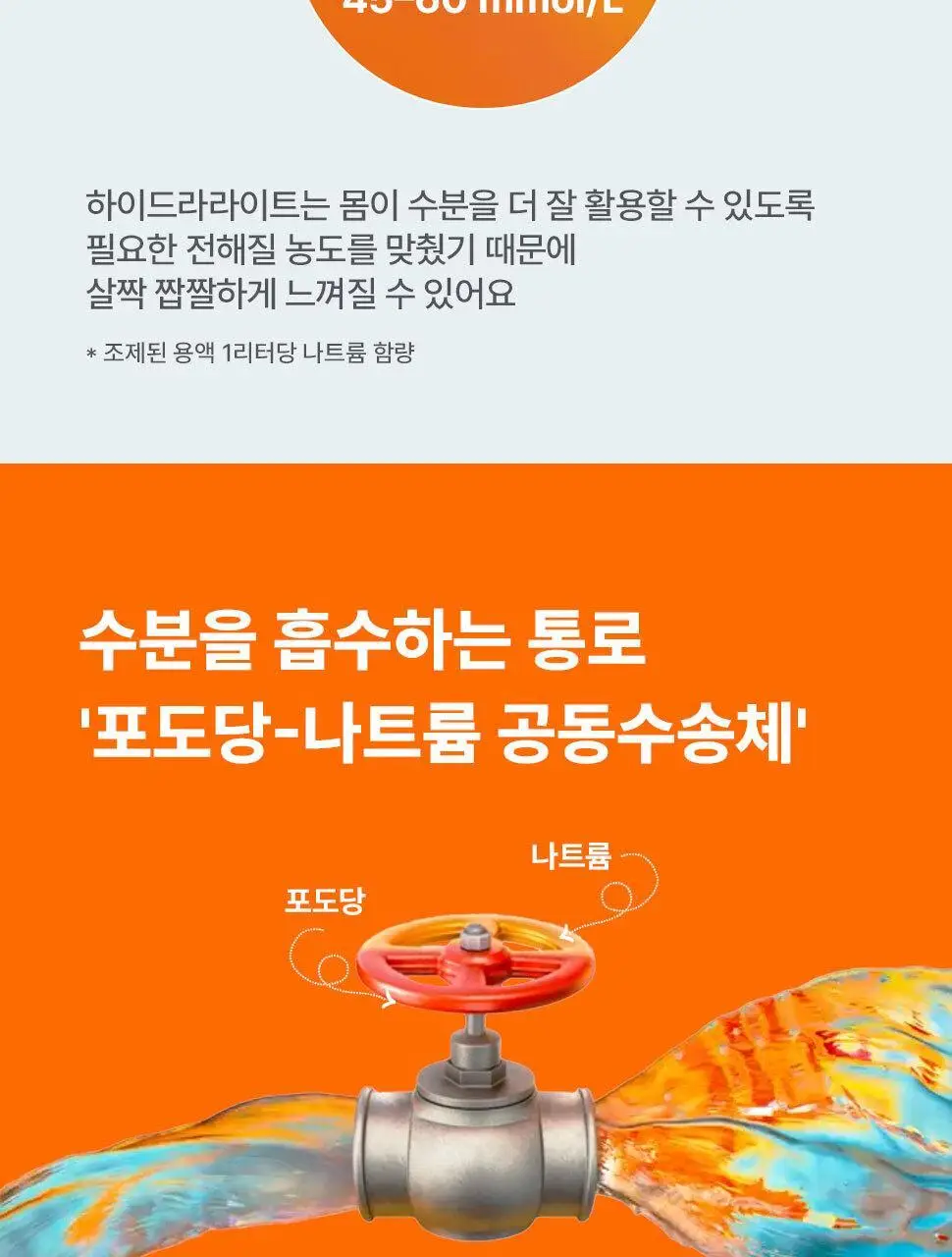 하이드라라이트 전해질 파우더 애플&블랙커런트 10개입 상세페이지 10