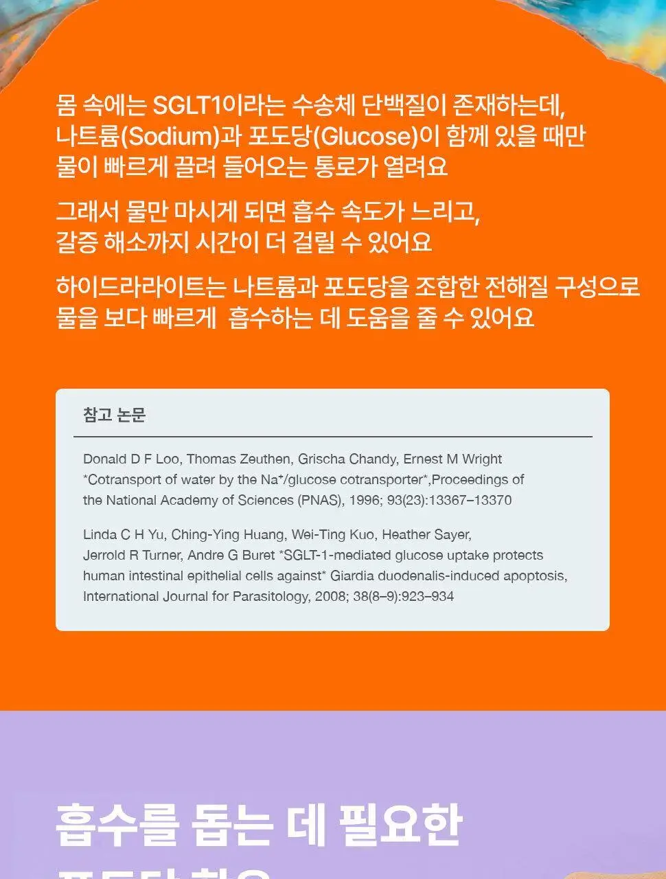 하이드라라이트 전해질 파우더 애플&블랙커런트 24개입 상세페이지 11