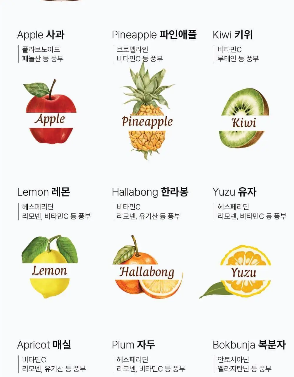 달심 클렌즈워터 500ml 24개입 상세페이지 13