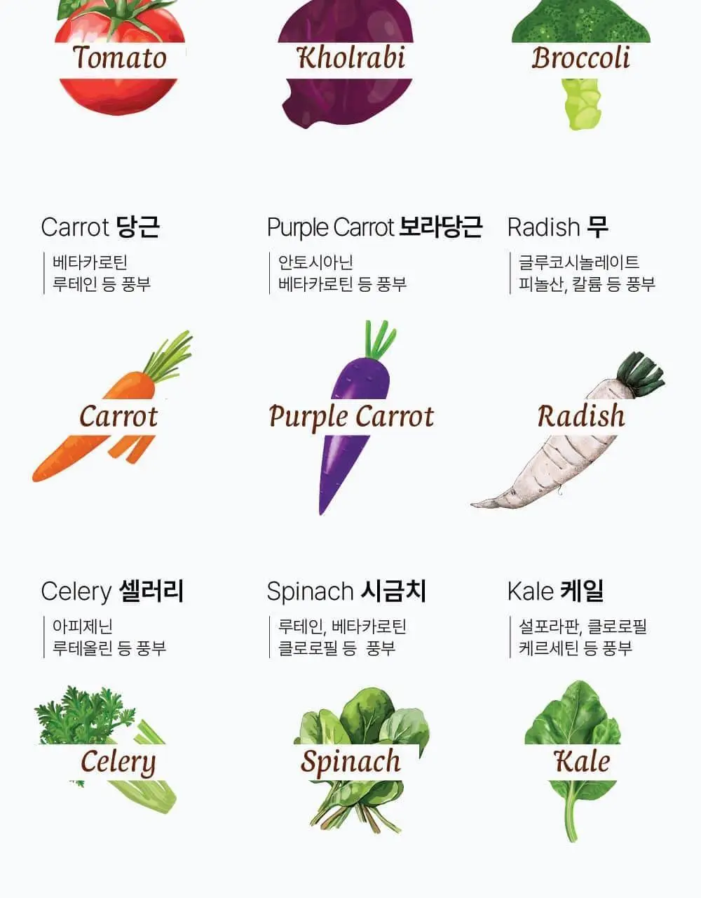 달심 클렌즈워터 500ml 24개입 상세페이지 15