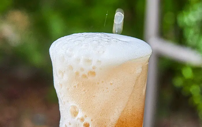 아임얼라이브 콤부차 250ml 6병 택1 상세페이지 11