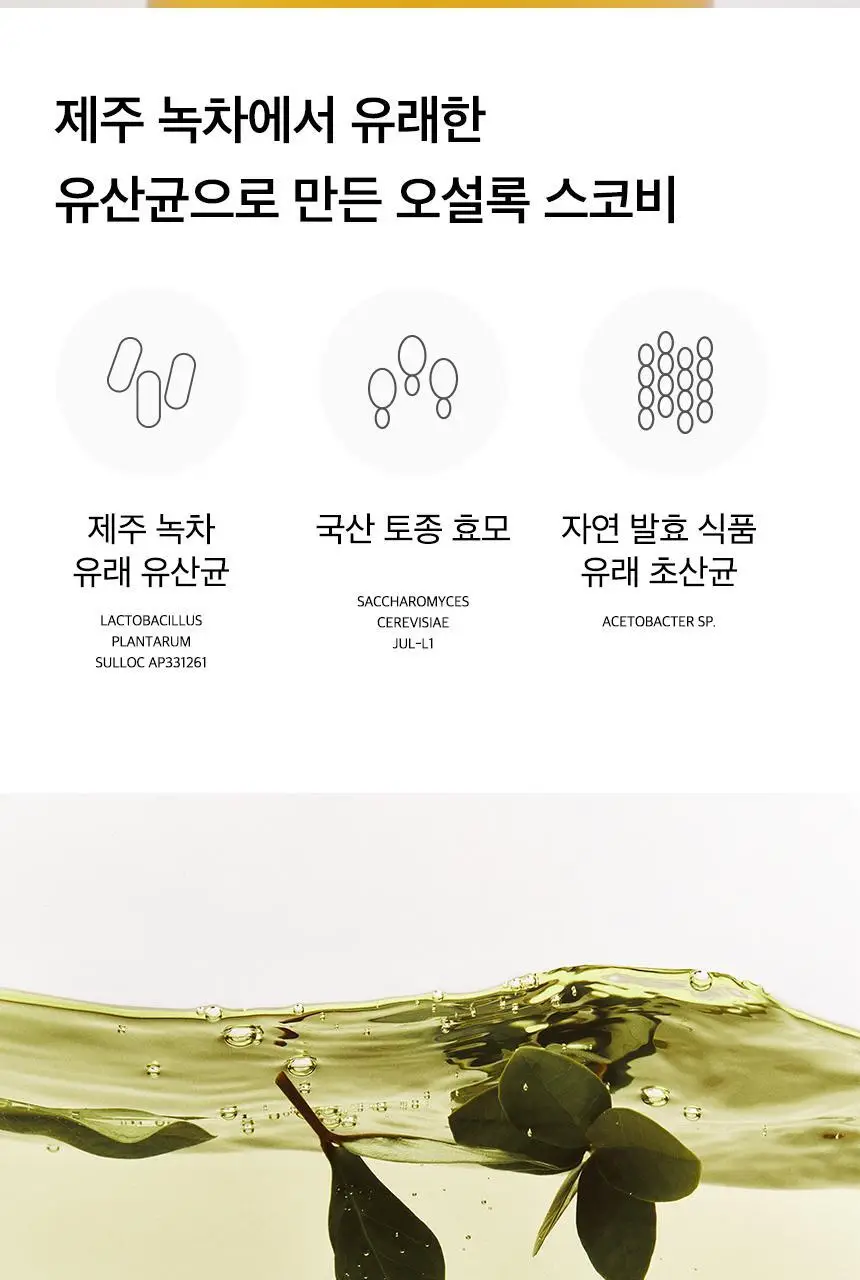 오설록 콤부차 깔라망고 10입+리치피치 10입+애플파인 10입 상세페이지 31