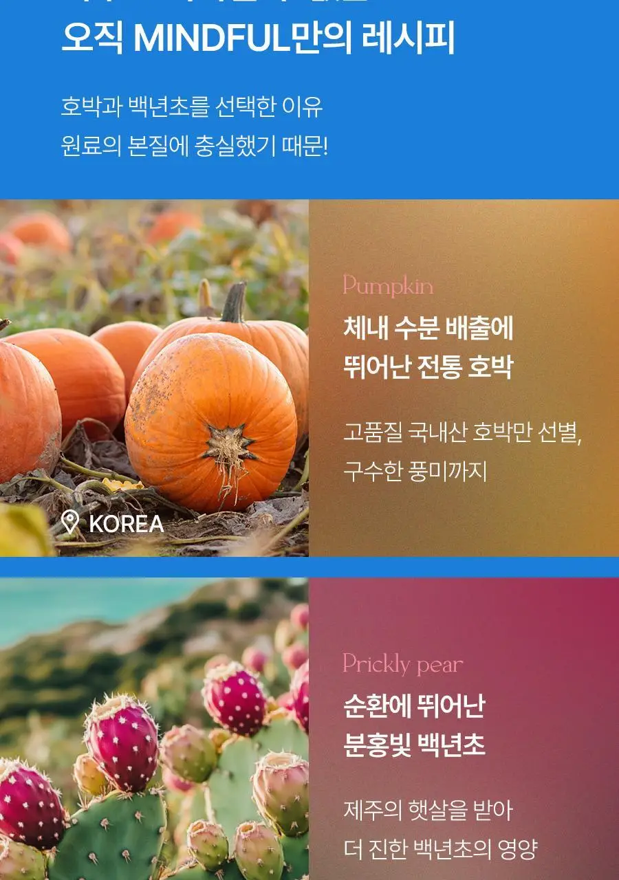 푸드올로지 백년초 호박 티 2.5g X 20티백 상세페이지 8