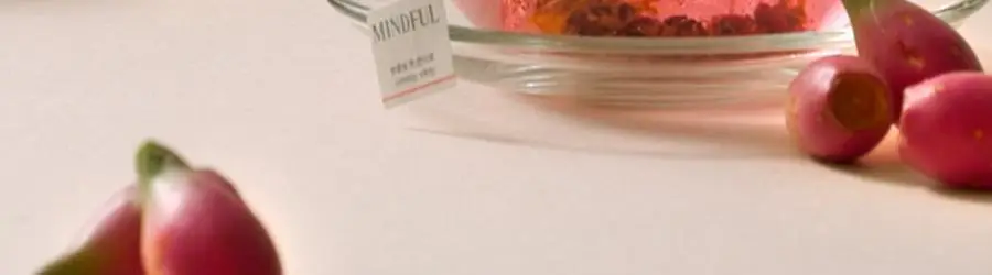 푸드올로지 백년초 호박 티 2.5g X 20티백 상세페이지 15
