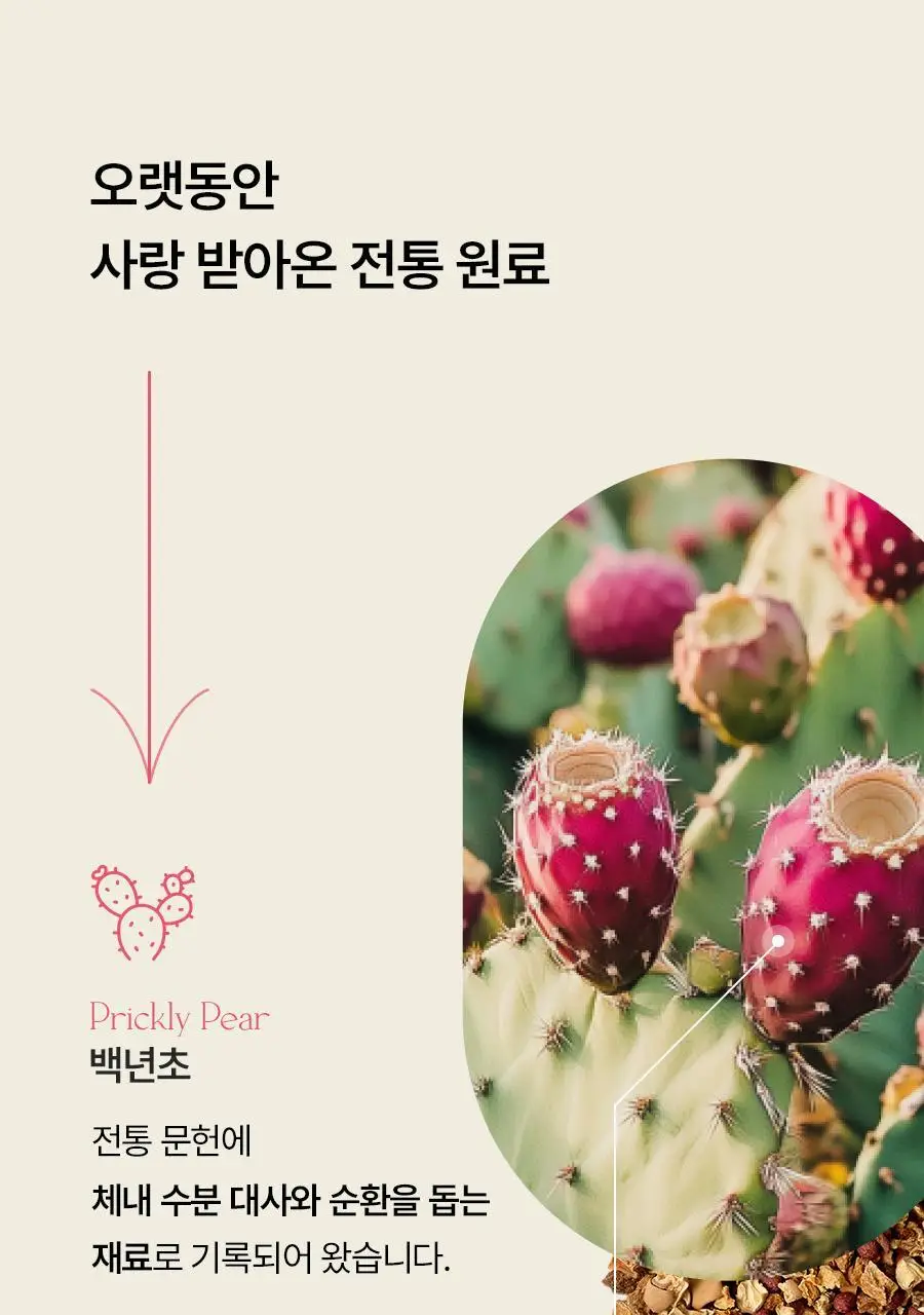 푸드올로지 백년초 호박 티 2.5g X 20티백 상세페이지 16