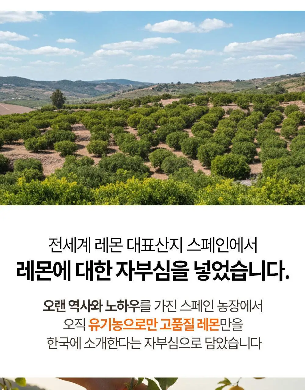 홀베리 유기농 레몬즙 PET (500mlx2병) 상세페이지 22