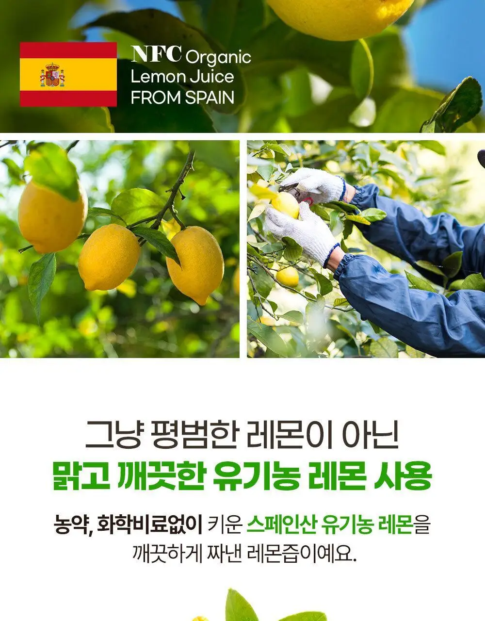 홀베리 유기농 레몬즙 PET (500mlx2병) 상세페이지 30